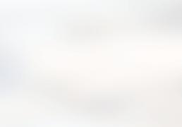 NBA季前赛數(shù)据王正式出爐(lú)！文班无缘盖帽王，申京逼平特雷楊(yáng)