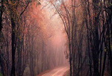 NBA官方裁判(pàn)报告(gào)：哈(hā)登(dēng)绝杀三分(fēn)确实被犯规