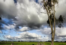 亚马逊云科技成为NBA及其附属联赛的官方云服务與(yǔ)云AI合作伙伴