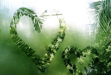 官宣：森林狼正式(shì)与朱利葉(yè)斯(sī)-兰德(dé)尔完成续约